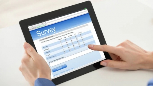 Online Questionnaire